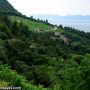 Taking photo of Dingac Vineyards, Peljesac